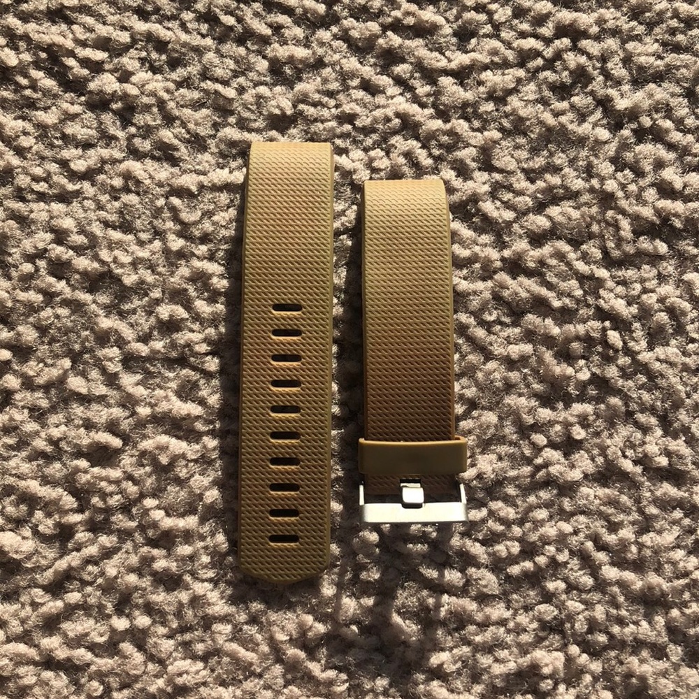FitBit Charge 3 wristband